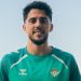 Pablo Fornals, jugador del Real Betis. | Imagen: Real Betis.