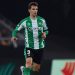 Contratiempo para el Betis: Llorente es baja para el Girona